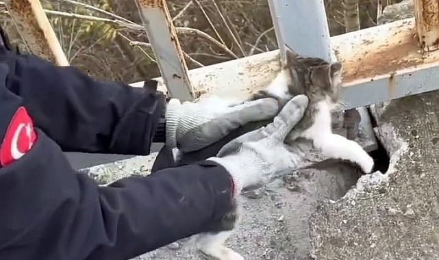 Korkuluğa sıkışan yavru kedinin imdadına itfaiye yetişti