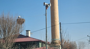 Leylekler bu sene Iğdır’ı terk etmedi