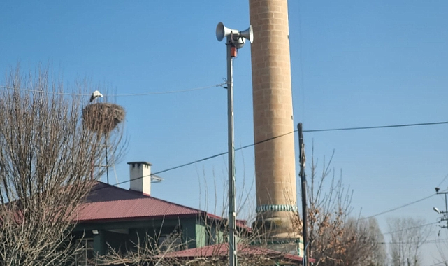 Leylekler bu sene Iğdır’ı terk etmedi