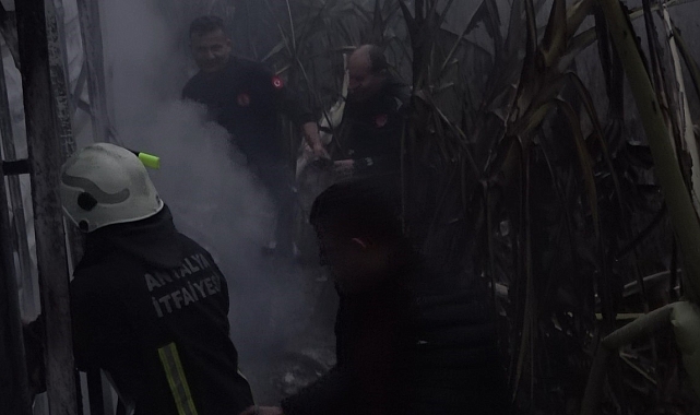 Mobilya deposu çıkan yangın, muz ve çiçek serasına sıçradı