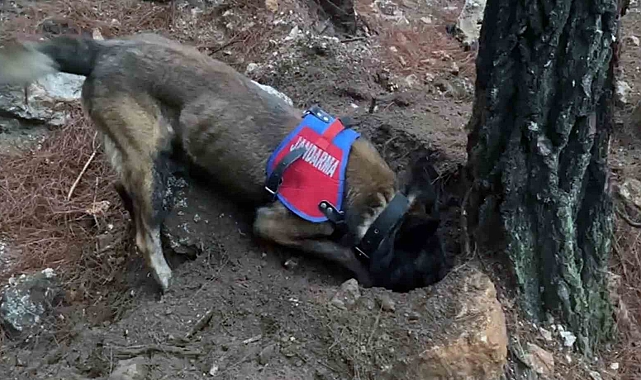 Muğla, Fethiye ilçesinde14 yıl önce kaybolan şahsın cinayete kurban gittiği öğrenildi