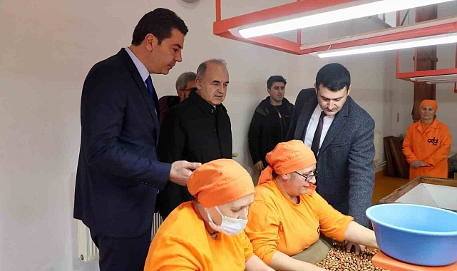 Ordu&#039;nun Fındık Gururu: 95 Yaşında Bir Tabela, 3 Kuşak Hikaye