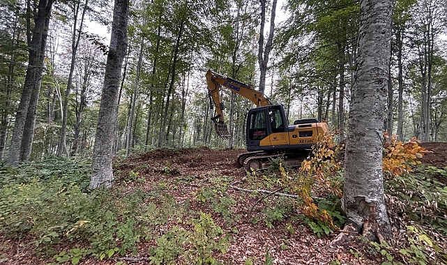 Orman İşletme Müdürlüğü ekipleri tarafından gençleştirme çalışması gerçekleştirildi