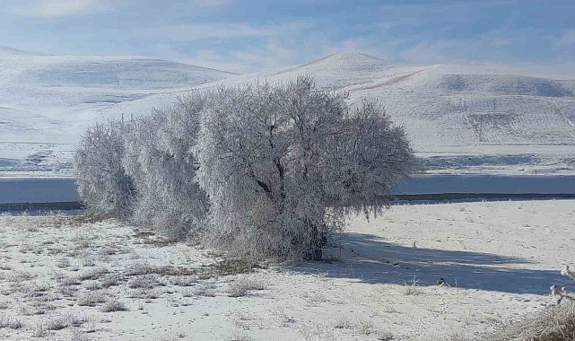 Özalp ilçesi dondu