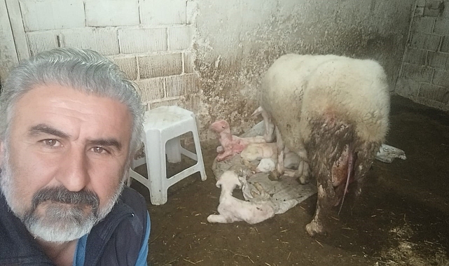 Pamukkale&#039;de Dörtüz Mucizesi!