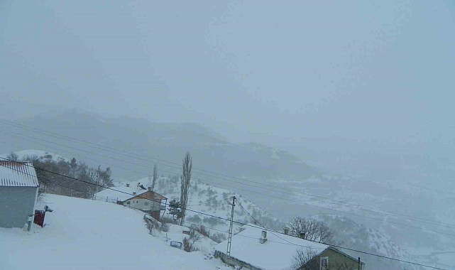 Posof&#039;ta Yaşamı Felç Eden Kar Yağışı ve Tipi