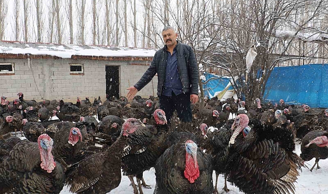 Rağbet görmeyen hindileri internet üzerinden satıyor