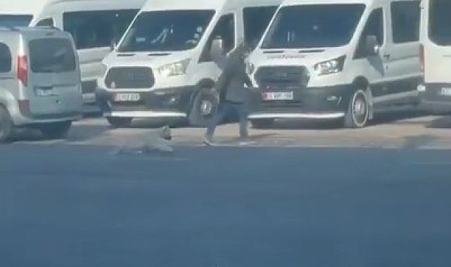 Şanlıurfa&#039;da köpeğe yapılan zulüm kameraya yansıdı