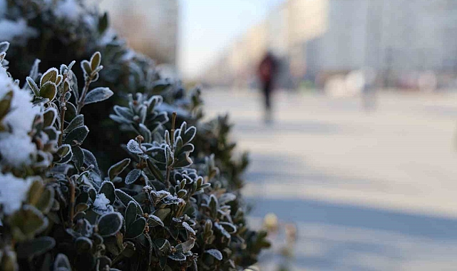 Sivas&#039;ta, termometreler sıfırın altında 23 dereceyi gösterdi