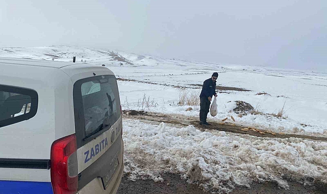 Sokaktaki canlara yardım eli