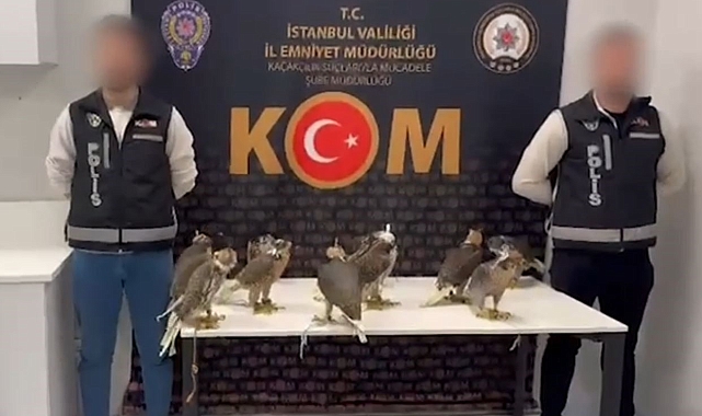 Tanesine 100 bin dolar verdiği 10 gökdoğan kuşu havalimanında yakalandı