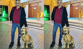 Tarçın, 5 vakit camiye giden sahibini hiç yalnız bırakmıyor