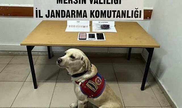 Uyuşturucu operasyonunda 8 kişi gözaltına alındı