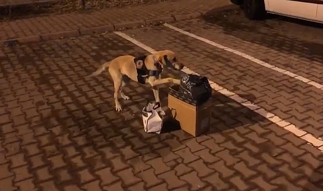 Uyuşturucu operasyonunda salçanın içine zulalanmış uyuşturucu ele geçirildi