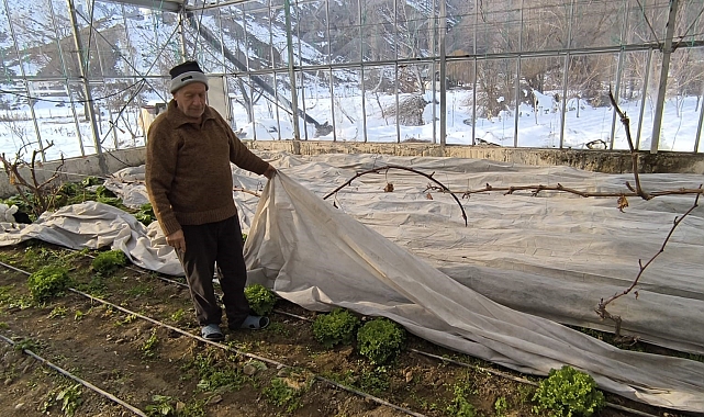 Uzundere&#039;de Yaşanan Yoğun Kar Yağışı Seracılığı Vurdu