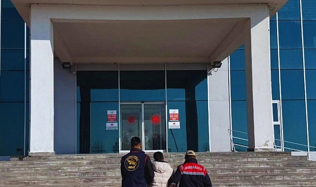 Van&#039;da Düzensiz Göçmen Operasyonu: 11 Kişi Yakalandı, 2 Organize Edici Tutuklandı