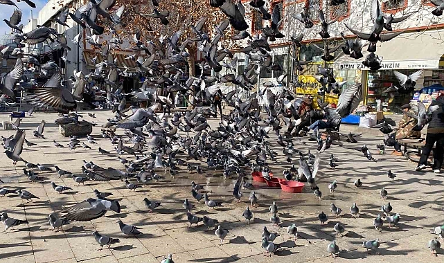 Yozgat&#039;ta Güvercinler İçin Birlik Oldular