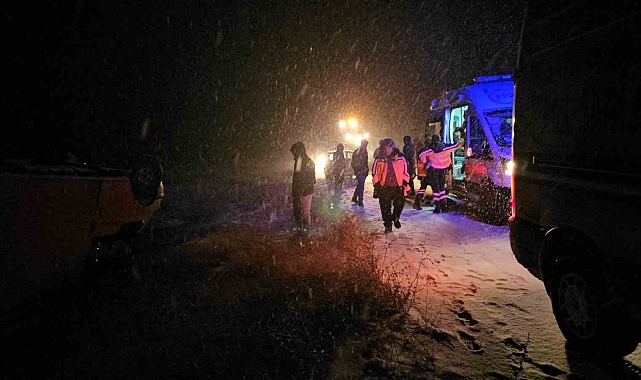 Adilcevaz&#039;da Minibüs Kazası: 3 Yaralı