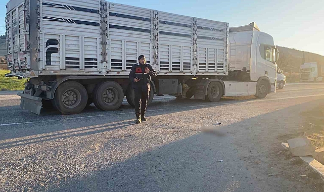 Adıyaman&#039;da Büyük Trajedi: Yaya Hayatını Kaybetti