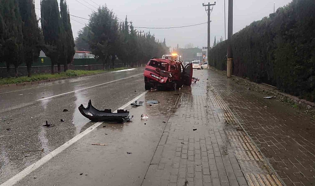 Ağaca çarpan araçtaki 2 kişi yaralandı