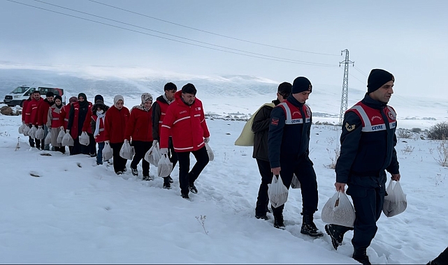 Ağrı&#039;da Yaban Hayvanları Kışın Aç Kalmıyor: Kızılay&#039;dan 1 Tonluk Destek