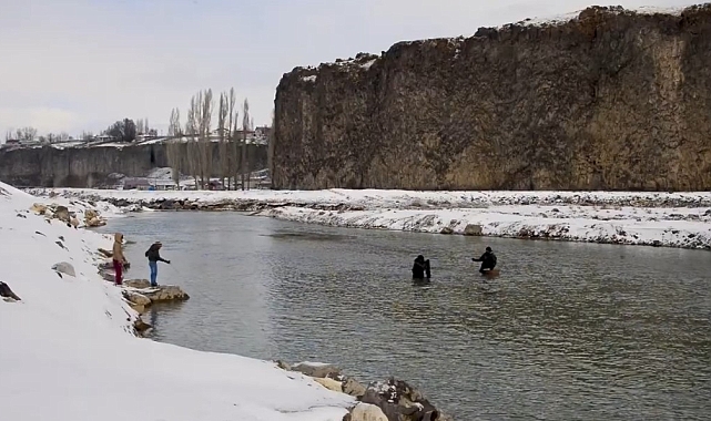 Ağrı&#039;nın Diyadin İlçesinde Buz Tutmuş Murat Kanyonu&#039;nda Balık Avcısının Zorlu Mücadelesi