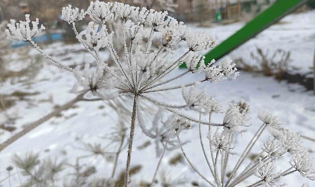 Ardahan&#039;da Sibirya soğukları