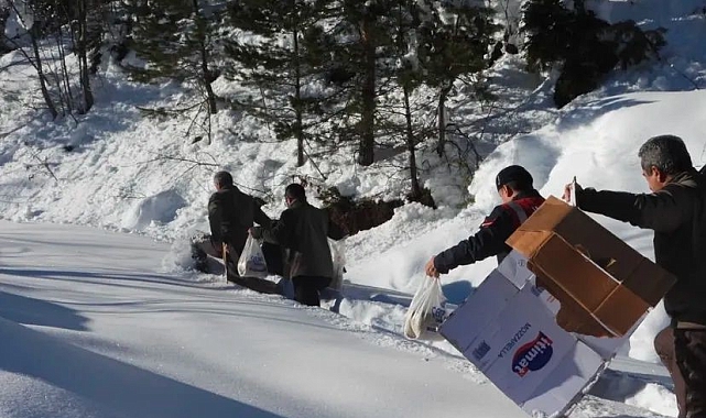 Artvin&#039;de Yaban Hayatı Kışın Unutulmadı: Yoğun Yemleme Çalışmaları