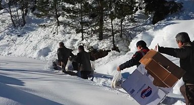 Artvin'de Yaban Hayatı Kışın Unutulmadı: Yoğun Yemleme Çalışmaları