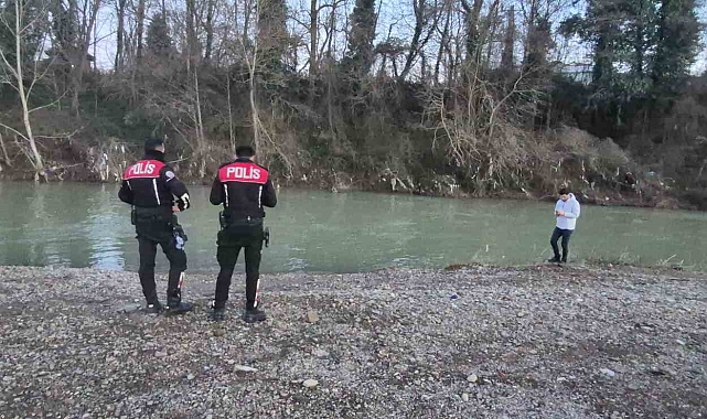 Bartın Irmağı&#039;nda Mahsur Kalan Yunusun Kurtarılma Çabaları