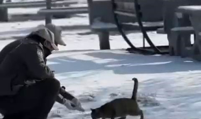 Bingöl Polisi Sokak Hayvanlarını Unutmadı!