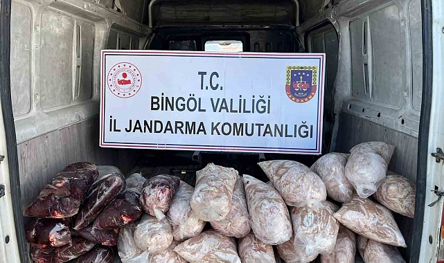 Bingöl&#039;de gıda ve hijyen kurallarına aykırı şekilde taşınan 200 kilo sakatat ele geçirildi
