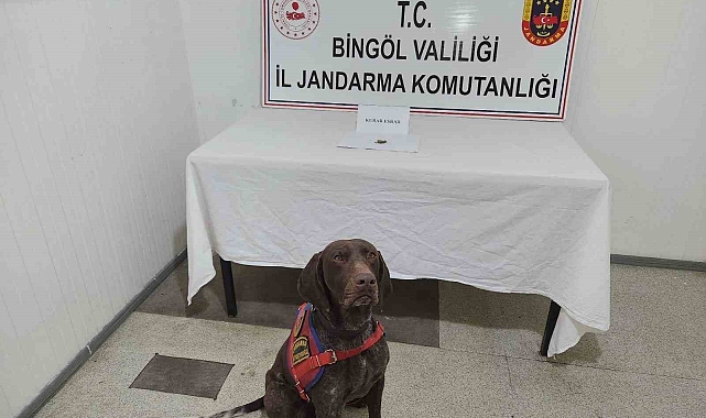 Bingöl&#039;de Uyuşturucu Operasyonu: 3 Aranan Şahıs Yakalandı