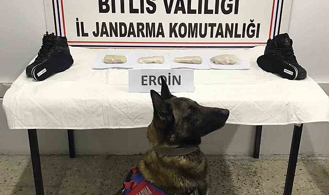 Bitlis&#039;te Ayakkabı Tabanında Saklanan 500 Gram Eroin Ele Geçirildi