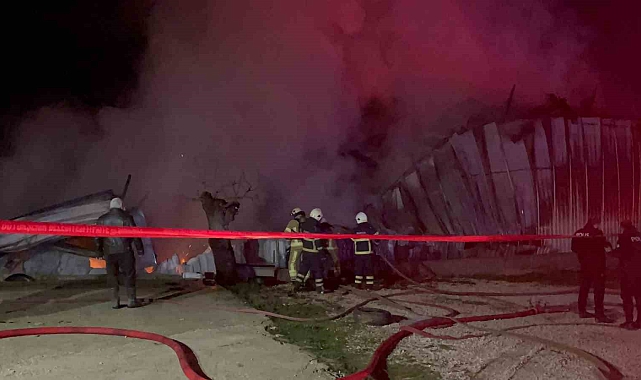 Bursa&#039;da Fabrika Küle Döndü: Ses Sistemleri Üreten İşyeri Yandı