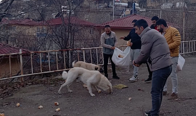 Çemişgezek Gençliğinden Sokak Hayvanlarına Destek Eli