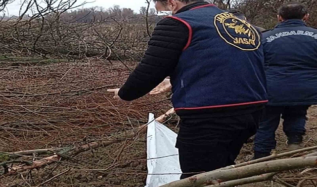 Çorum&#039;da İlginç Olay! Çalındığını İddia Ettiği Traktörü Çukurda Bulunan Şahıs Gözaltında