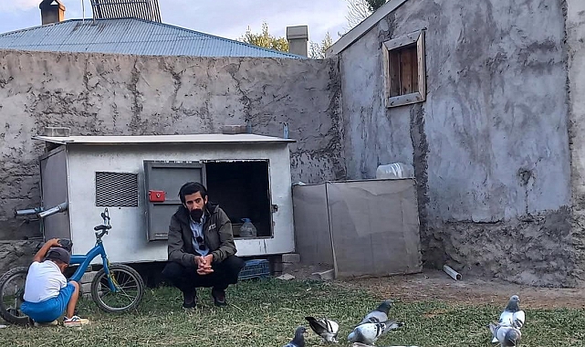 Diyadin&#039;de Güvercin Aşkı Soğuk Havada da Sönmüyor