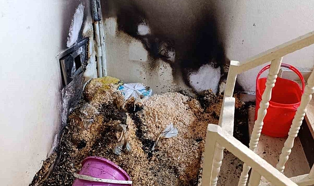 Diyarbakır&#039;da Facianın Eşiğinden Dönüldü: Unutulan Köz Büyük Yangına Neden Olabilirdi