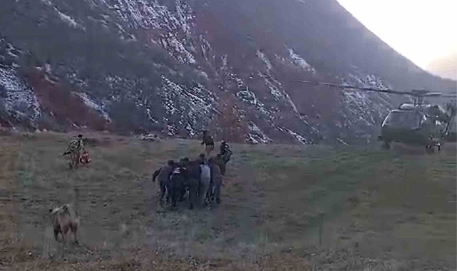 Domuz sürüsü saldırdı, uçurumdan düştü: Helikopterle hastaneye ulaştırıldı