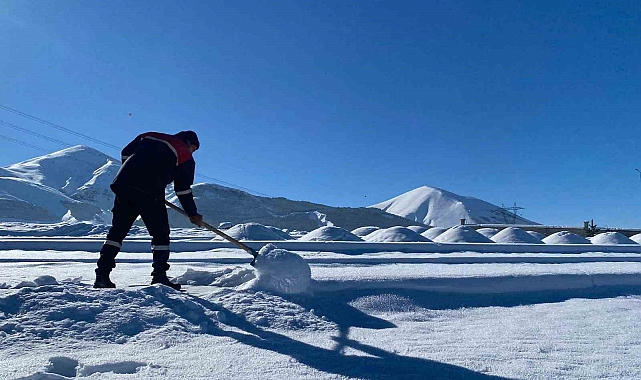 Erzurum -24,6 ile buz kesti