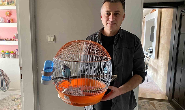 Eskişehir&#039;de Kaybolan Muhabbet Kuşu&#039;nun Sahibi Aranıyor