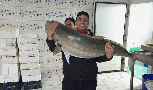 Hatay&#039;da Dev Bir Av: 50 Kiloluk Akya Balığı!