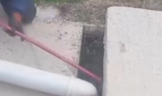 Hatay&#039;da Kahramanlık Anı: Vatandaş Kanalizasyondan 3 Yavru Köpeği Kurtardı!