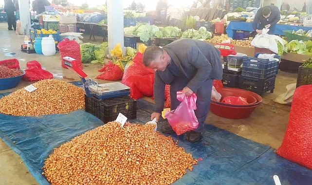 Hisarcık&#039;ta Tohumluk Soğan Fiyatları Tavan Yaptı