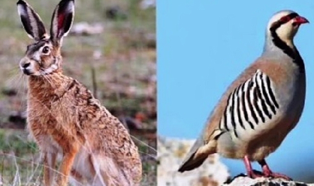 Iğdır&#039;da Av Sezonu Sona Erdi: Şimdi Koruma Zamanı!