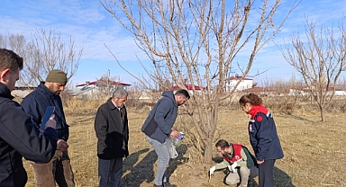Iğdır'da Tarla Faresiyle Mücadele Yoğunlaşıyor