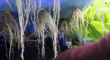 Iğdır Üniversitesi'nde Topraksız Tarımın Yeni Umudu: Ar-Ge Ünitesi