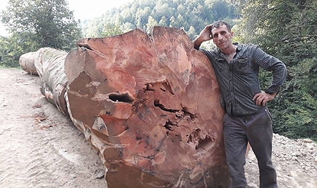 İzmir'de Acı Kayıp: Orman İşçisi Görevi Başında Hayatını Kaybetti