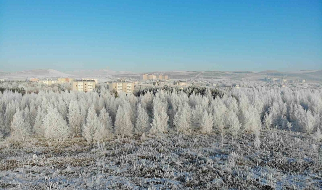 Kars Kışın Beyaz Kucağına Sarmaş Doluş: Kış Masalı Mı, Zorlu Sınav Mı?